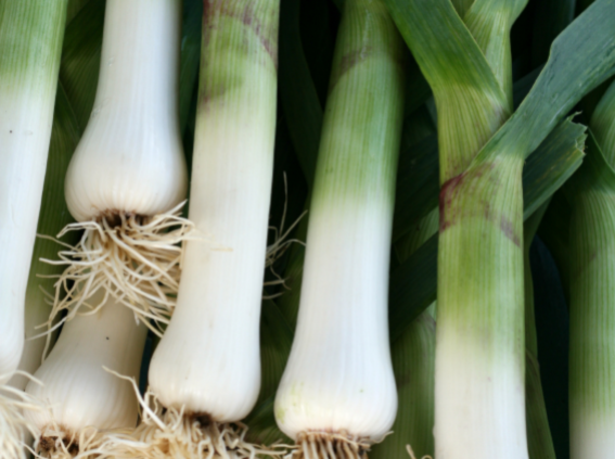 Leeks