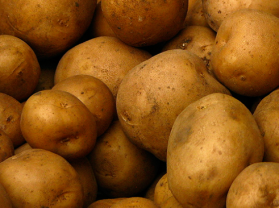 Potatoes