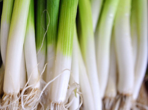 Spring Onions (Scallions)