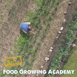 Learn How TO Grow Your Own Food 