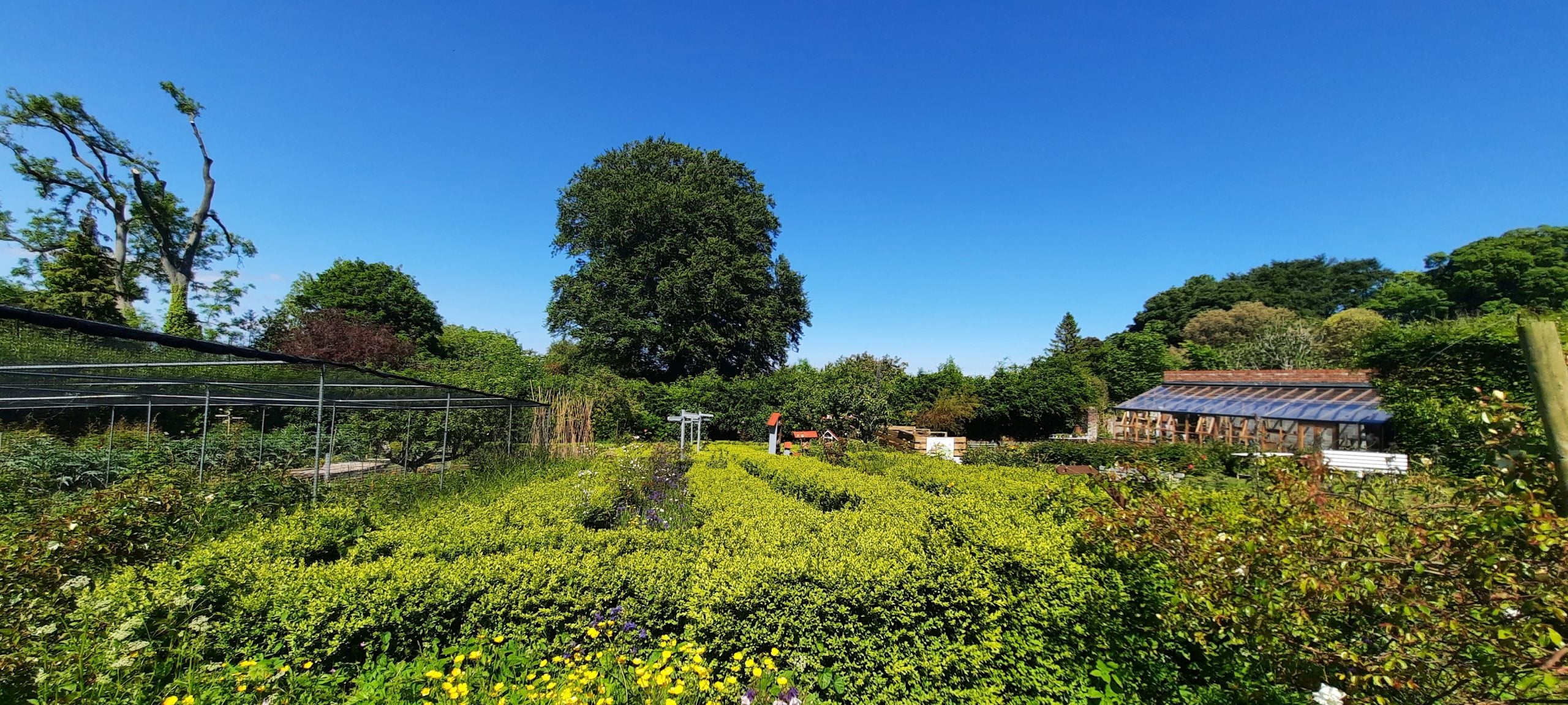 Community growing with Blue Sky