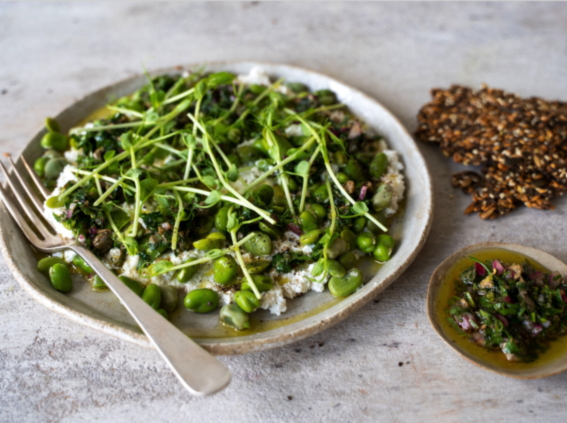 Broad Beans With Ricotta And Salsa Verde
