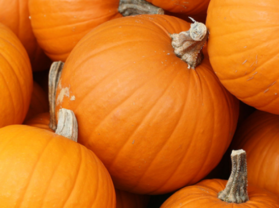 Squash & Pumpkin