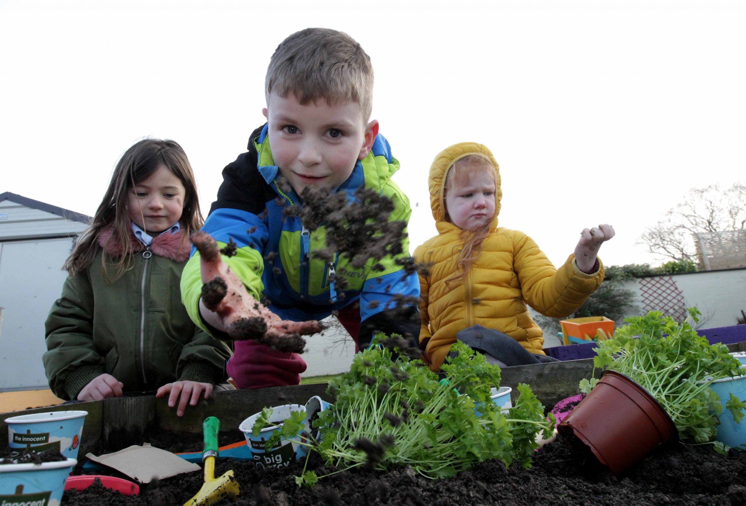 School Garden