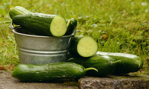 The Basics by Michael Kelly Growing Cucumbers