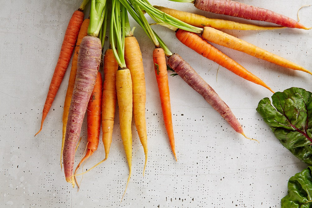 The Basics by Michael Kelly Getting Ready for Carrots