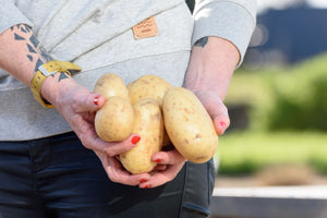 Seed potatoes from Shed to Soil