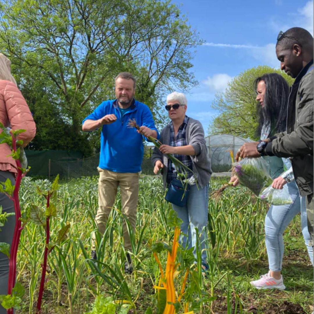 In Person Grow It Yourself Courses at the GROW HQ Food Growing Academy