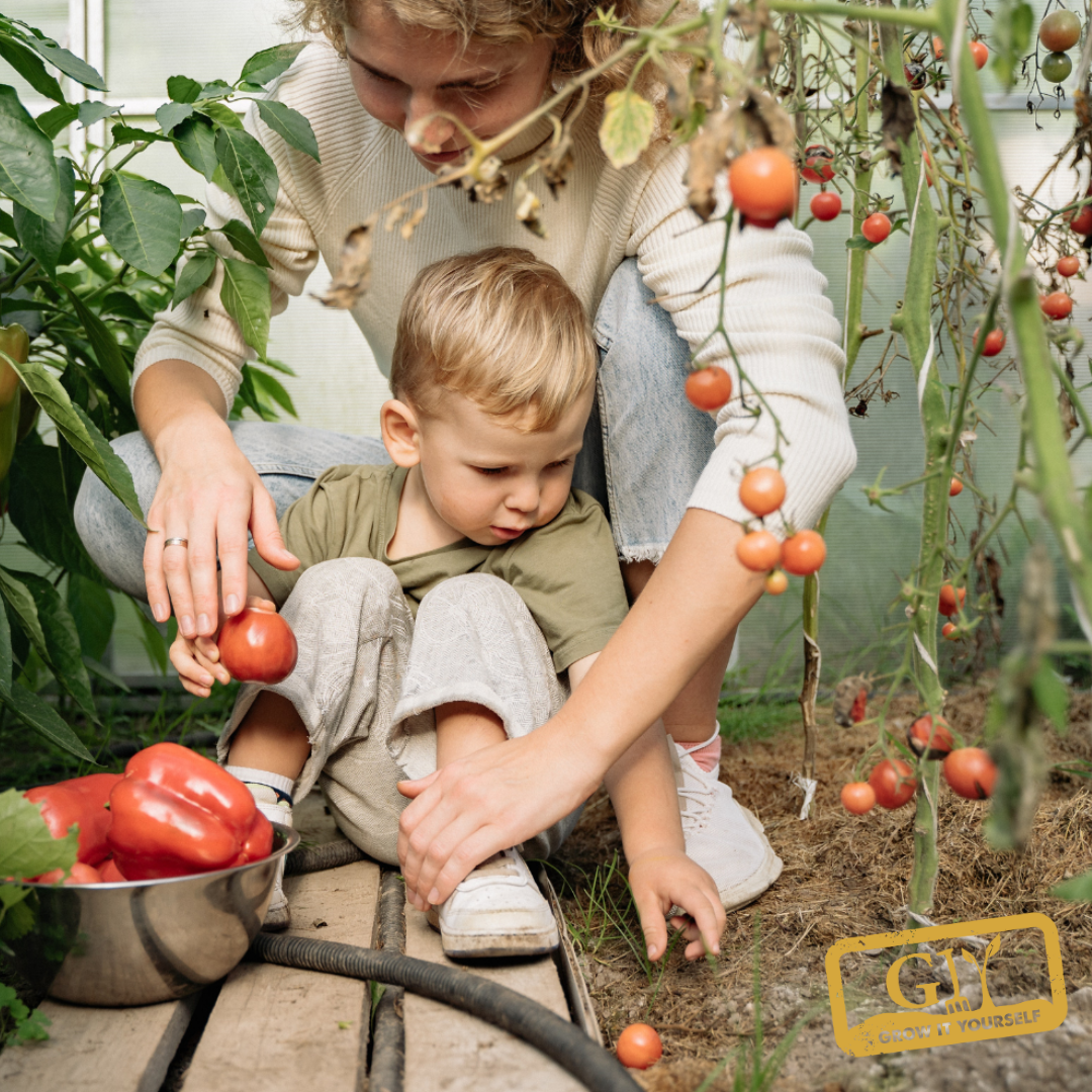 Learn to grow veg in ireland 