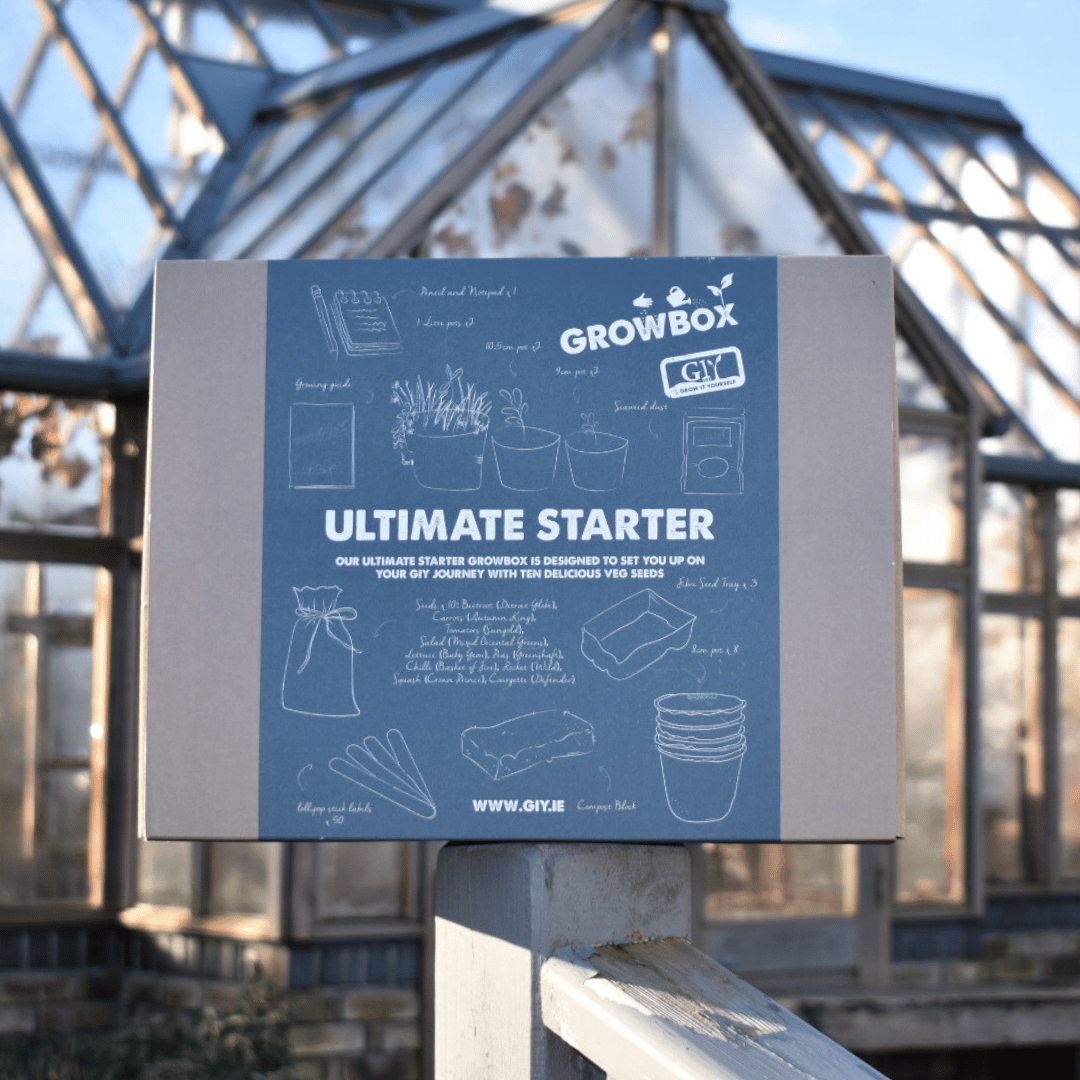 The Ultimate Starter GROWBox Ireland