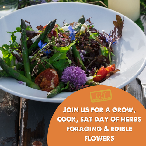 Herbs, Foraging and Edible Flowers with JB & Richard 29th June