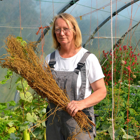 Learn Seed saving with madeline mckeever at GROW HQ