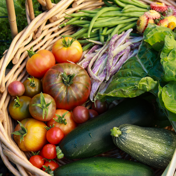 Learn to grow your own vegetables online course 