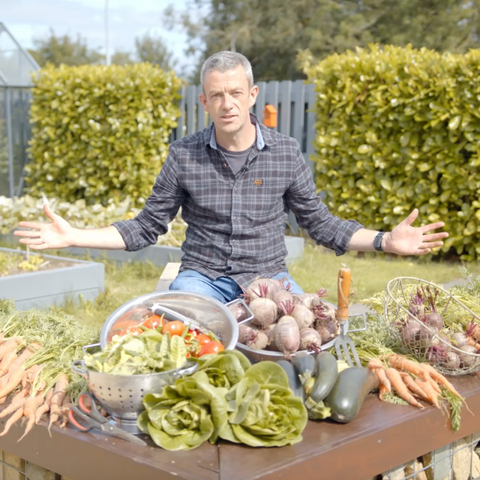 Growing Food For Beginners, 12 Week Online Course With Coaching From Mick Kelly Starting 2nd May