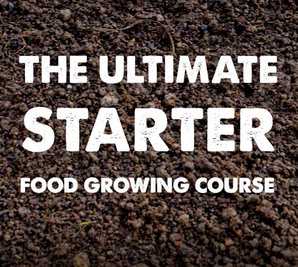 Ultimate Starter Course