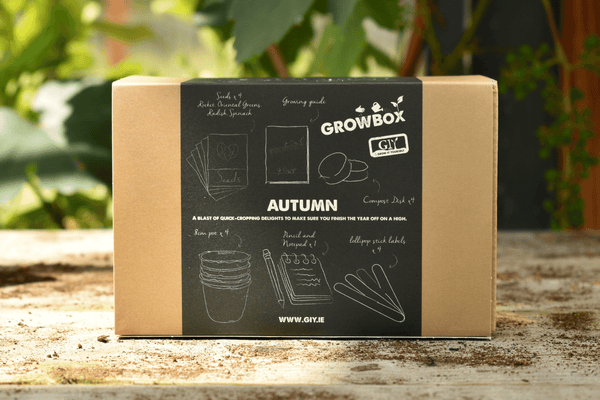Autumn GROWBox