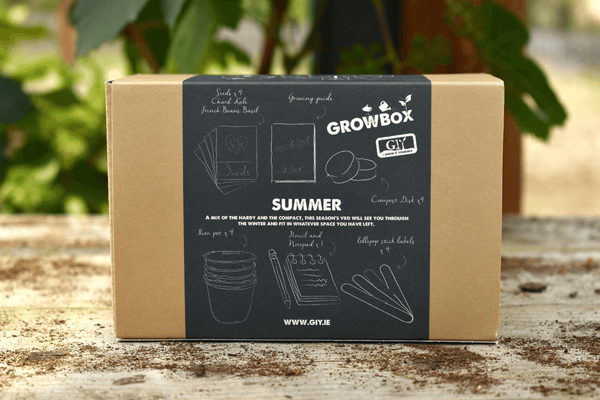 Summer GROWBox